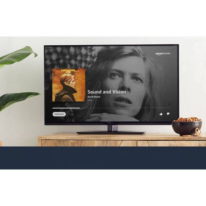 Passerelle Multimédia Amazon Fire Tv Stick Avec Télécommande Alexa PASSERELLE MULTIMEDIA AMAZON FIRE TV STICK LITE - Electro Dépôt