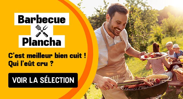 Barbecue / Plancha 
