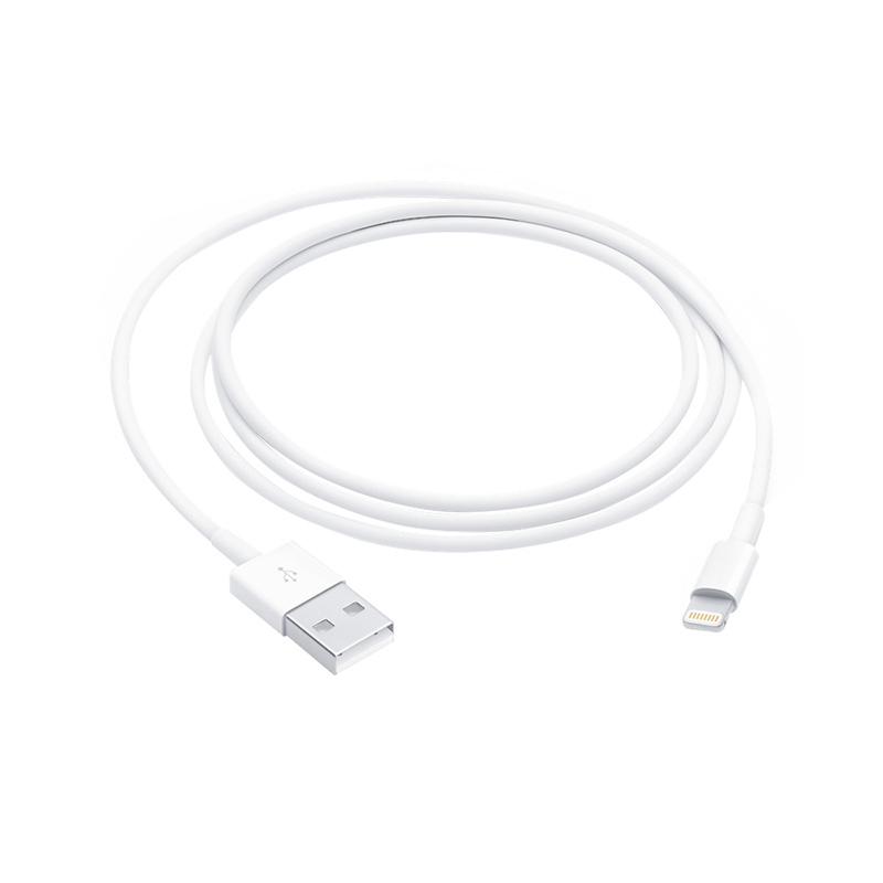 Cable Apple 1m Lightning