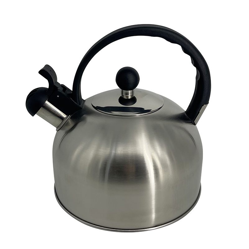 Electrodepot Bouilloire Sifflet Inox 2.5L