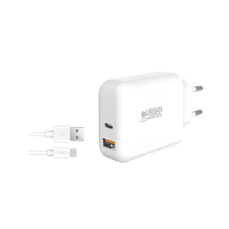 Adaptateur Urban Factory Secteur Usb C 4