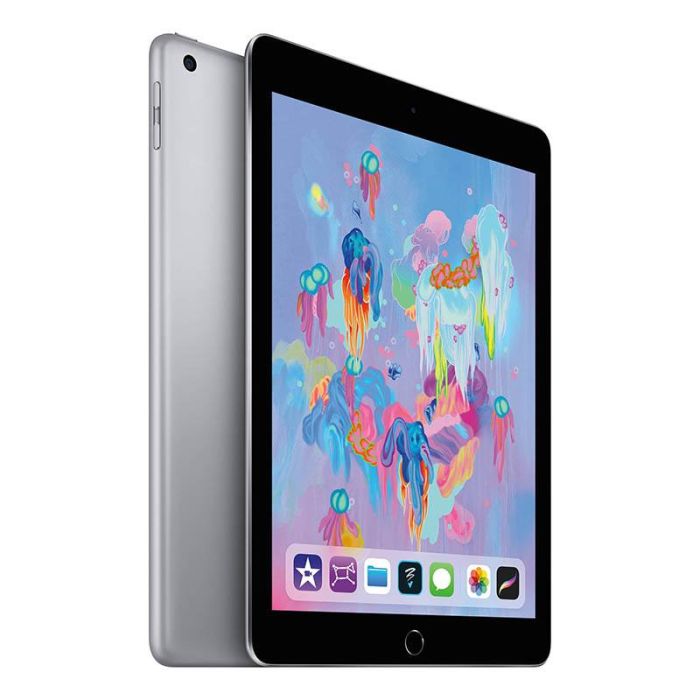 APPLE iPad 5 (2017) 32Go Gris WiFi - Reconditionné Grade ECO + Coque