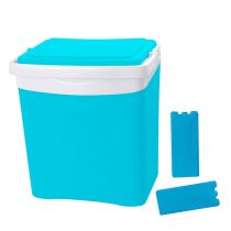 Glacière 25L + 2 pains de glace 350g