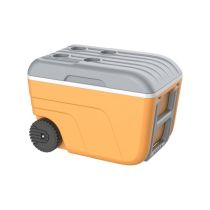 Glacière 52L avec poignée et roues