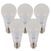 Ampoule XANLITE E27 x5