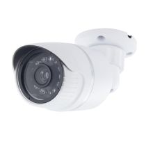 Factice Caméra de Surveillance CHACON