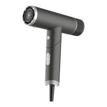 Sèche-cheveux BLDC pliable - SILVER STYLE