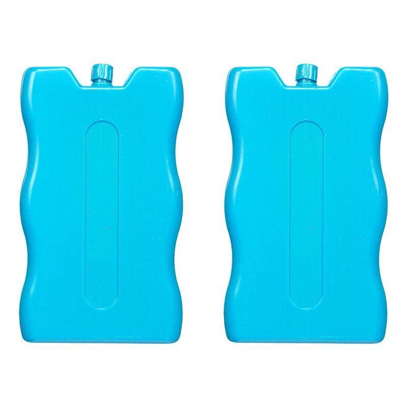 Accumulateur De Froid Aktive Bleu 2 Kg 22 X 27,5 X 4 Cm (6 Pièces