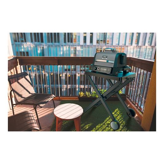 Barbecue de table NINJA WOODFIRE OG701EU