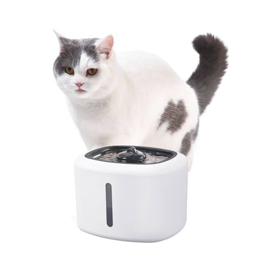 Fontaine à eau pour animaux PAWZZ 2,5L