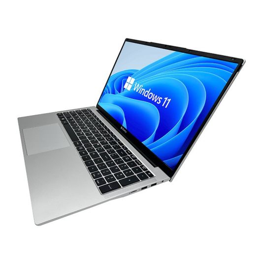 PC Portable DANEW 17,3