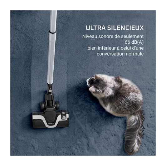 Aspirateur sans sac ROWENTA YY5669FE GREEN FORCE EFFITEC+