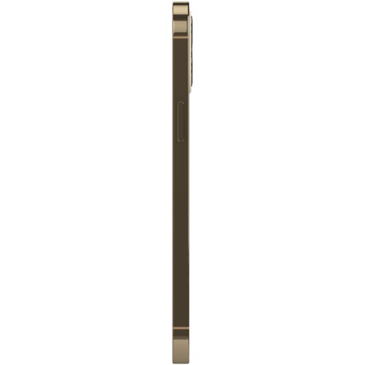 APPLE iPhone 12 Pro Max 128 Go Or reconditionné Grade Éco