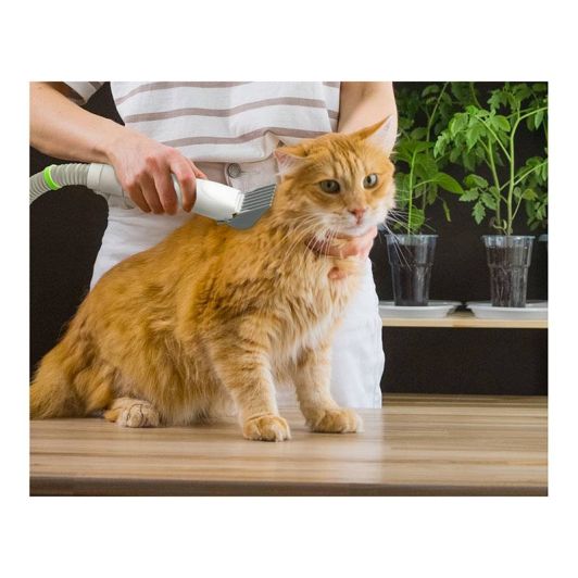 Kit de toilettage animaux LIFENAXX avec 8 accessoires