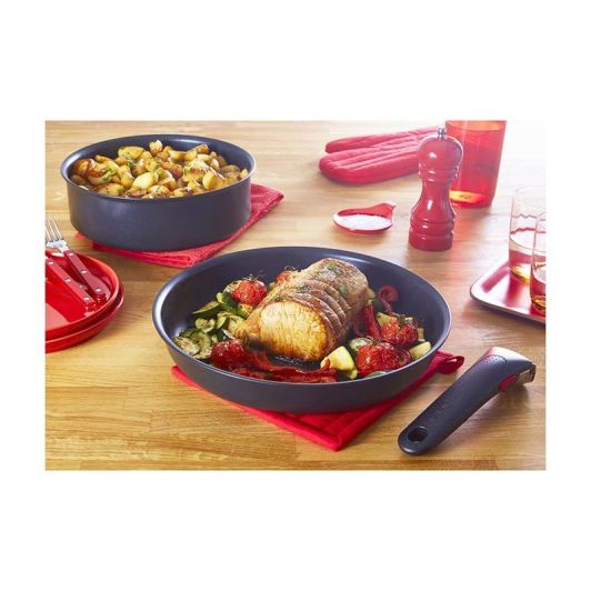 Poignée TEFAL amovible ingenio