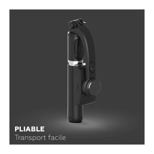 Perche à selfie MOBILITY avec stabilisateur
