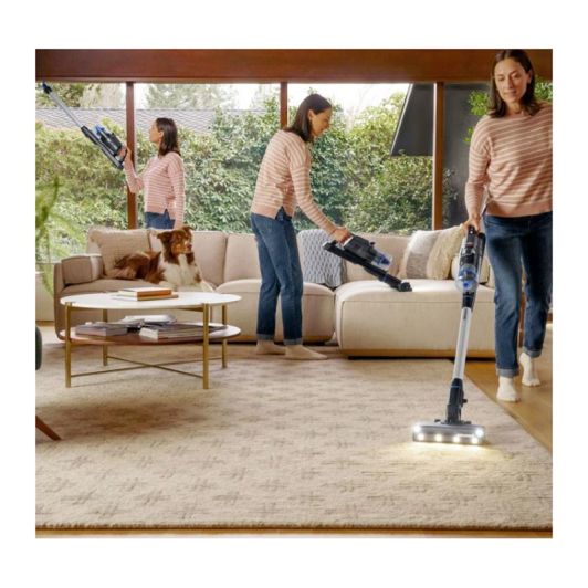 Aspirateur balai BISSELL POWERCLEAN FURGUARD SELECT 4093N