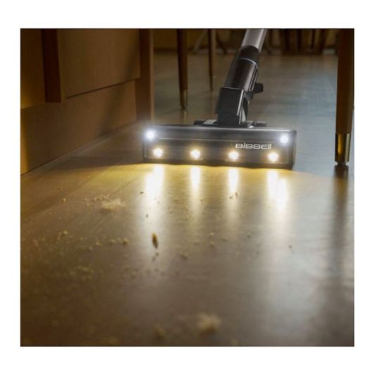 Aspirateur balai BISSELL POWERCLEAN FURGUARD SELECT 4093N