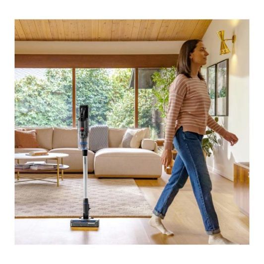 Aspirateur balai BISSELL POWERCLEAN FURGUARD SELECT 4093N