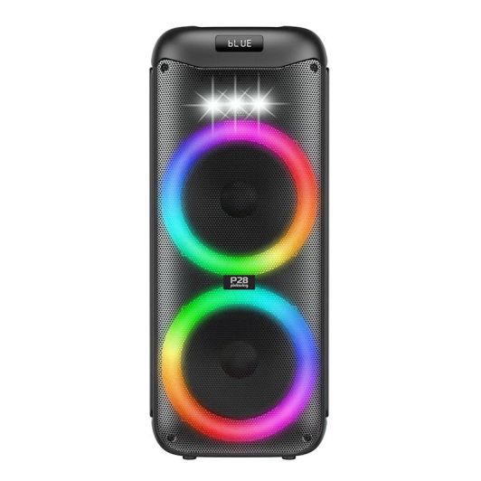 Enceinte PICKERING P28