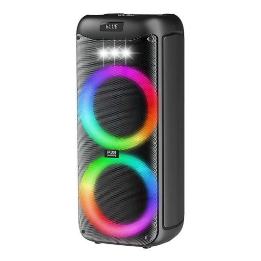 Enceinte PICKERING P28