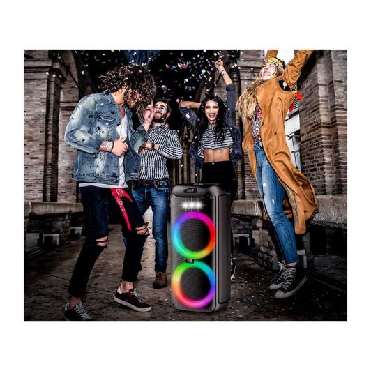 Enceinte PICKERING P28