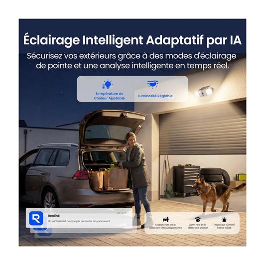 Caméra de sécurité extérieure REOLINK FLOODLIGHT F310B avec panneau solaire