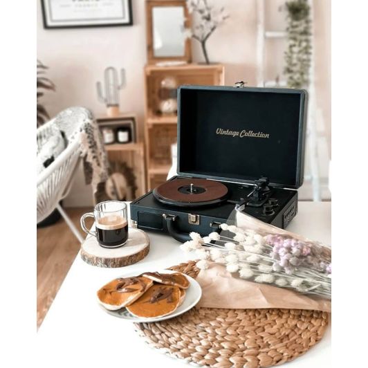 Platine Tourne Disques MUSE MT-103 GD