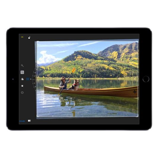 APPLE iPAD AIR 2 32GO Reconditionné Grade ECO