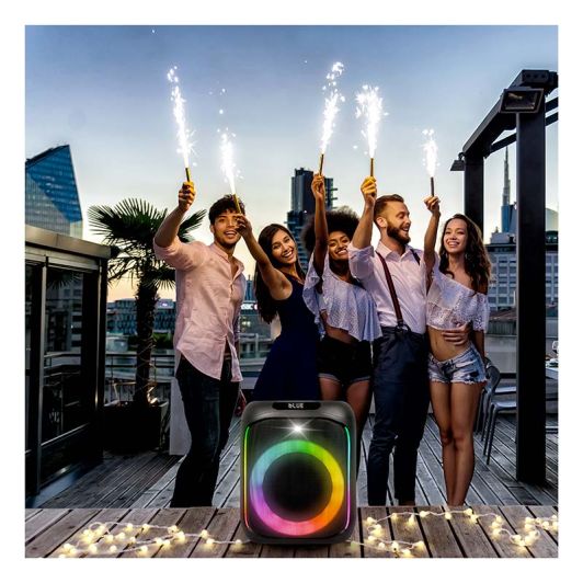 Enceinte Sono PICKERING SOUNDKUB 160