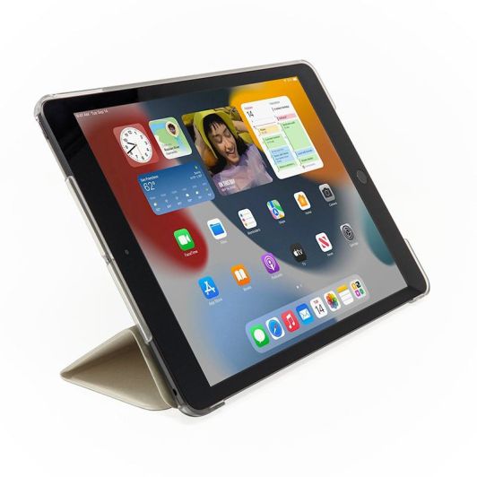 APPLE iPad 7 (2019) 128Go Gris WiFi - Reconditionné Grade ECO + Coque