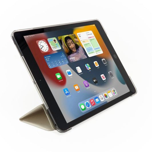 APPLE iPad 7 (2019) 128Go Gris Reconditionné grade éco + Coque