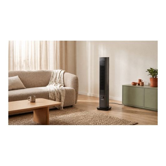 Ventilateur + Chauffage VALBERG 2IN1