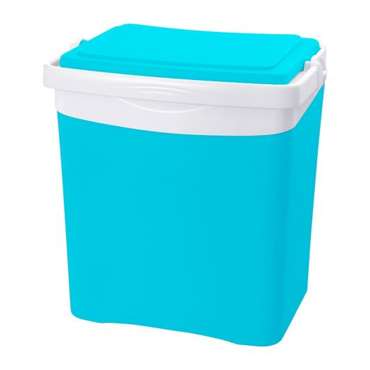 Glacière 25L + 2 pains de glace 350g