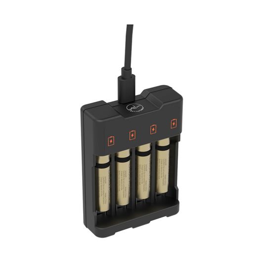 Chargeur MOBILITY 4 piles