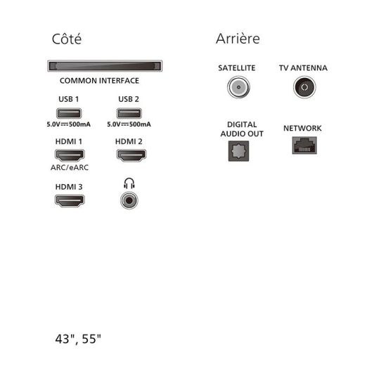 TV QLED 55