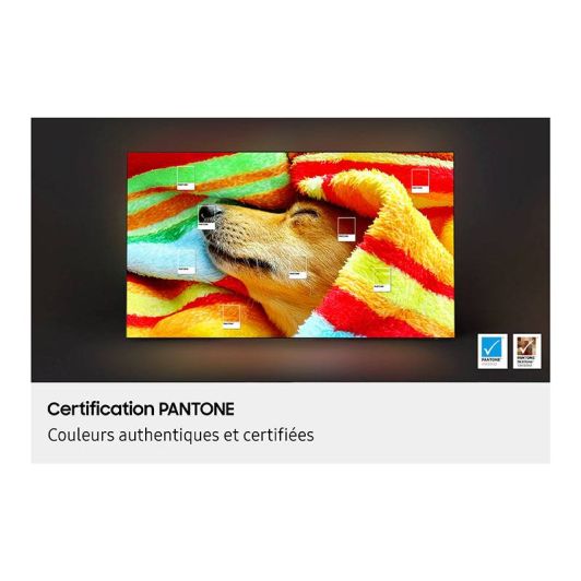 TV OLED 55