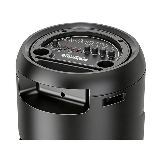 Enceinte PICKERING ULTIMATSOUND 1000