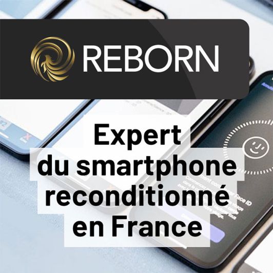 APPLE iPhone 15 Pro Max 256Go Bleu Reconditionné grade Eco Batterie Neuve