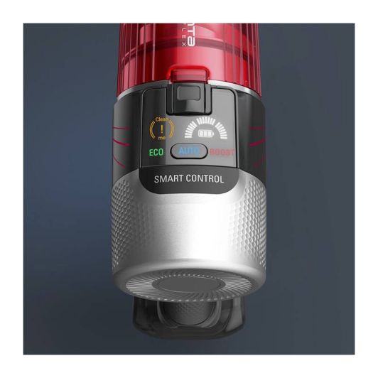 Aspirateur balai ROWENTA RH2087WO 9.60 ANIMAL