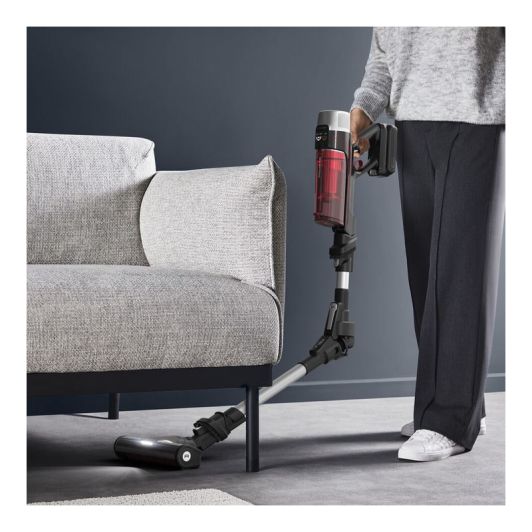 Aspirateur balai ROWENTA RH2087WO 9.60 ANIMAL