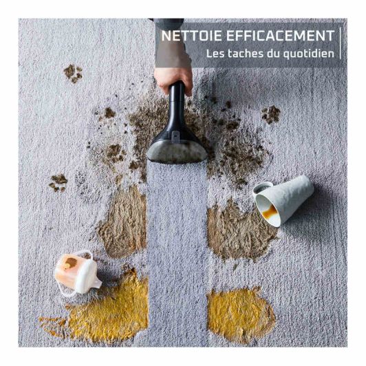Nettoyeur détacheur reconditionné ROWENTA IN5020F0R