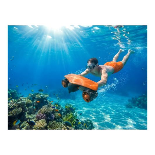 Scooter Marin PLATUM Reef One