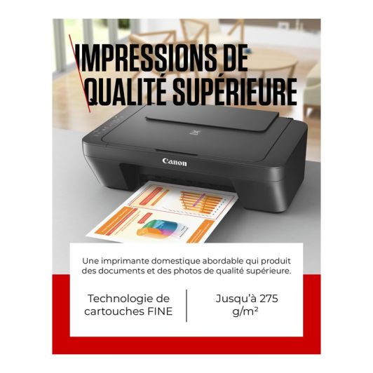 Imprimante CANON MG2556S multifonction SANS WIFI