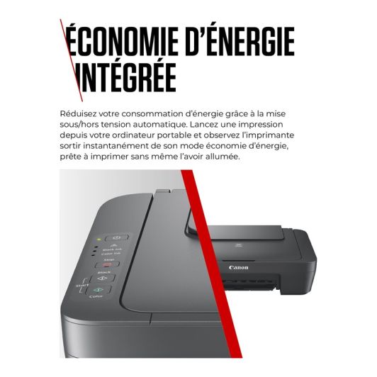 Imprimante CANON MG2556S multifonction SANS WIFI